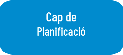 Cap de Planificació