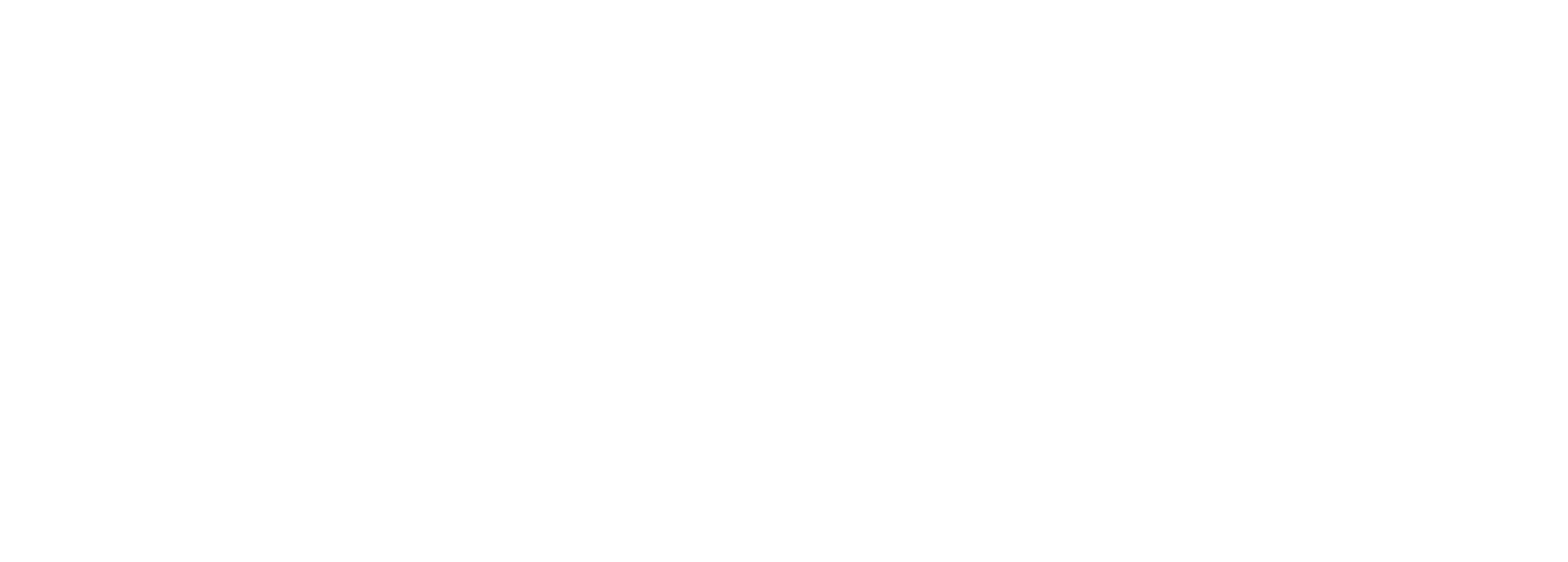 Logo Fisersa